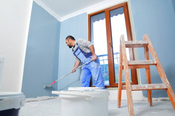 Best Comprehensive Air Testing for Mold Contaminants  in Lenoir, NC