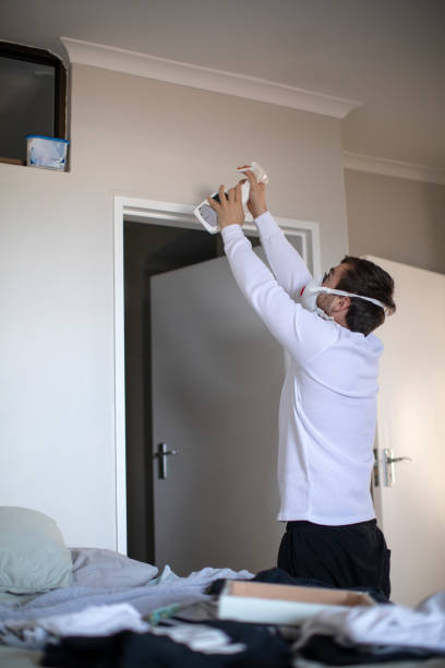 Lenoir, NC Mold Removal Pros