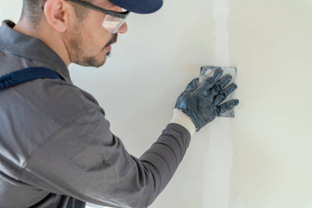 Best Black Mold Removal  in Lenoir, NC
