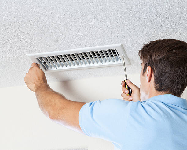 Mold Odor Removal Services in Lenoir, NC